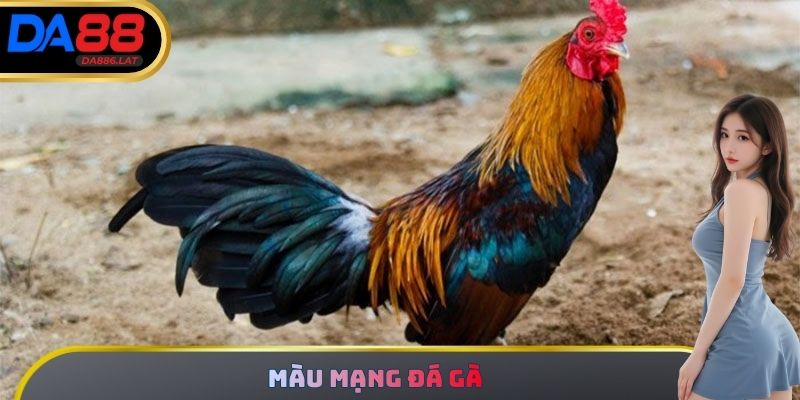 Màu Mạng Đá Gà